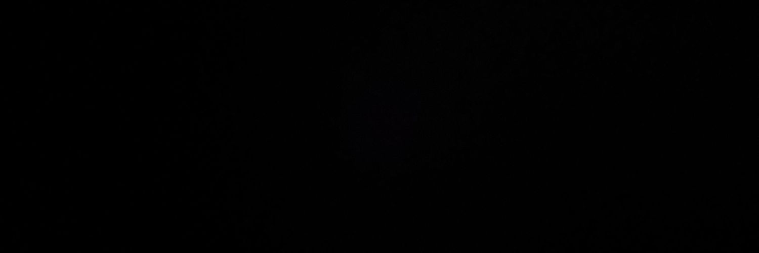 SleuthInSilk's profile banner image
