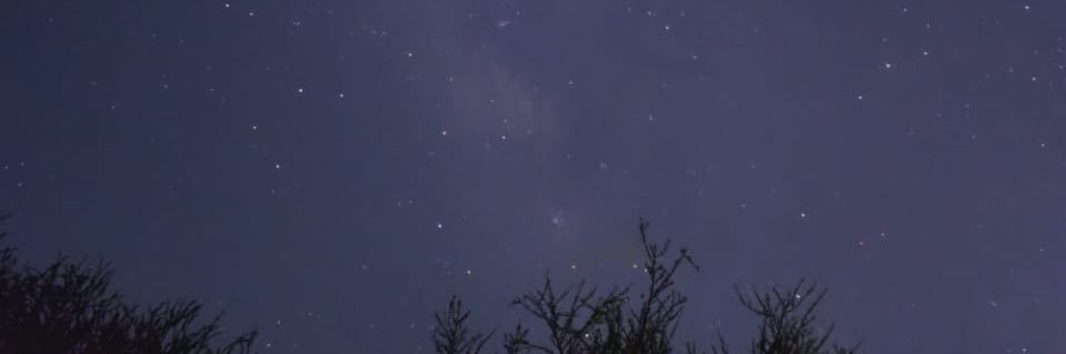 ابو مطلق banner