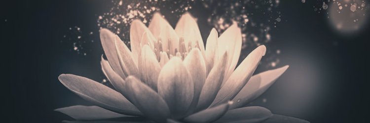 LAS_aka_Alyx's profile banner image
