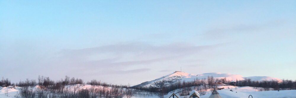 namihooo's profile banner image
