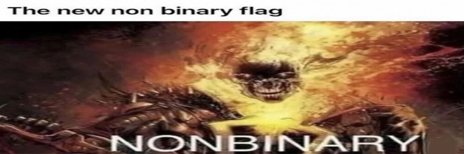 Beepkitty,, 🐈 (WitherKnight fan) banner