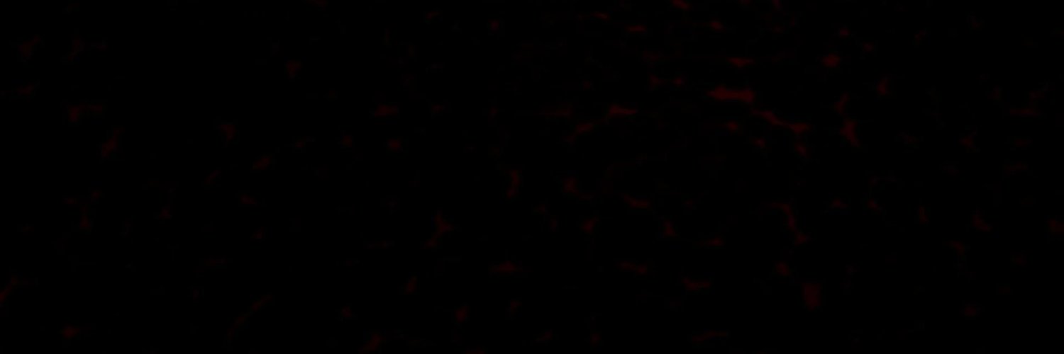 caleb_maccloud's profile banner image