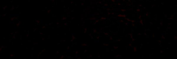 caleb_maccloud Profile Banner