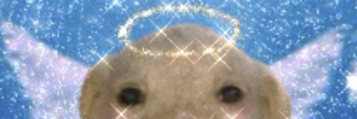 Junoo banner