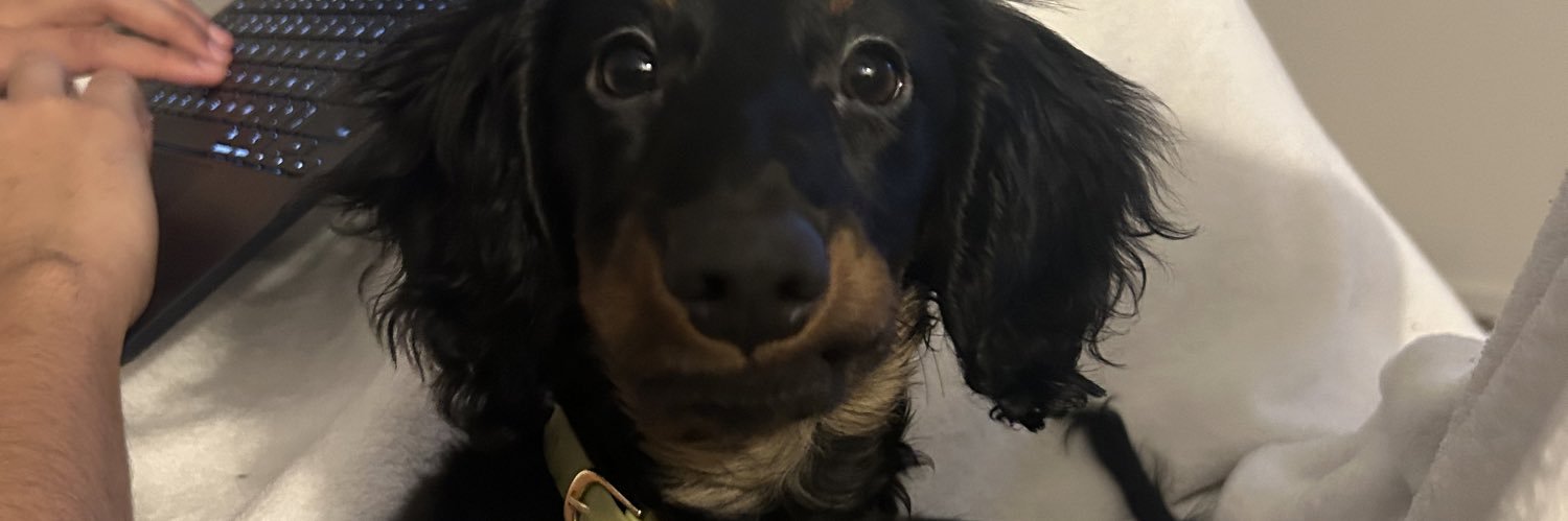 gvferrer's profile banner image