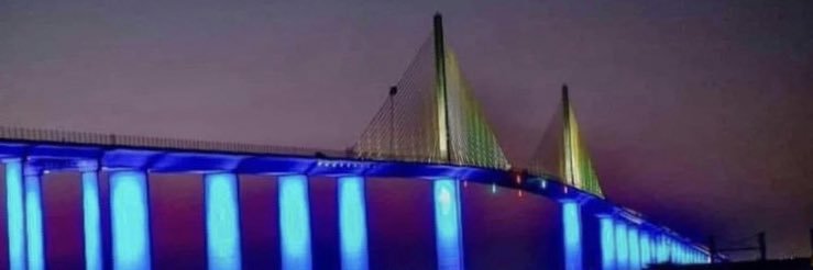 #VotingMatters❌ 👑Elon wants to silence us. banner