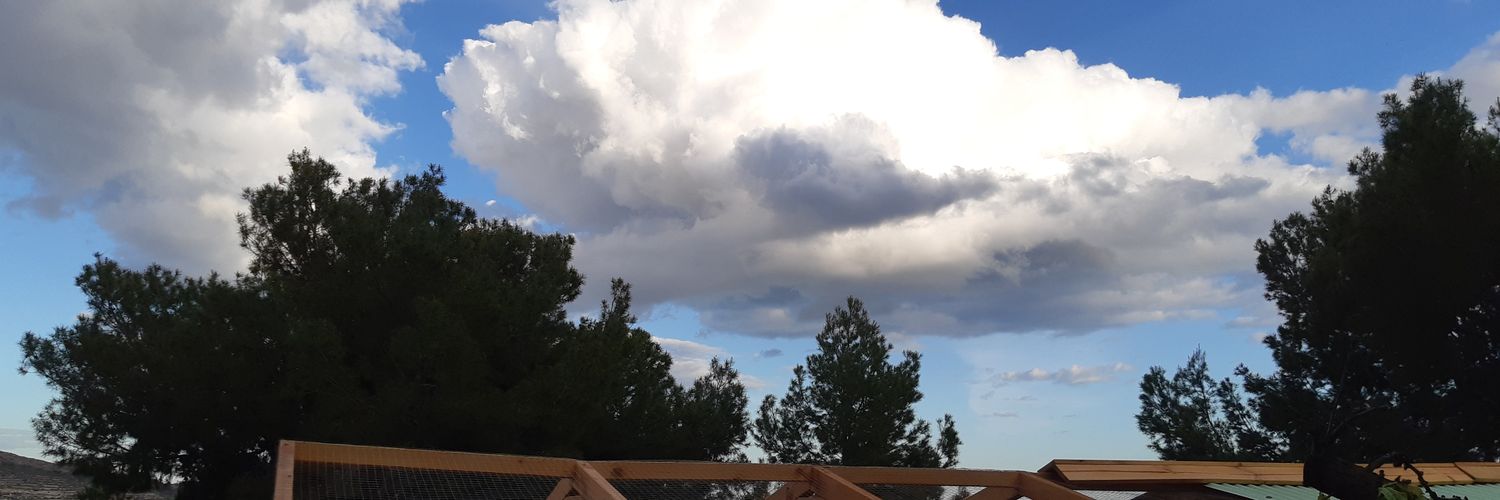ALEGNASM's profile banner image