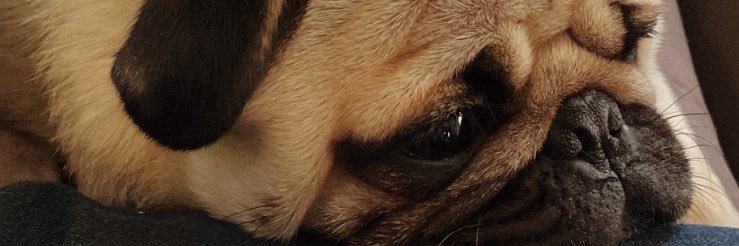 venceleski_'s profile banner image