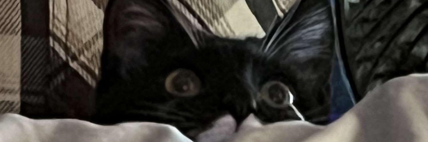 KatatonickKat1's profile banner image