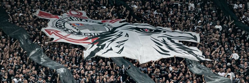 Fernando Medeiros banner