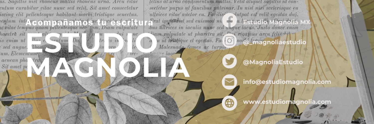 MagnoliaEstudio's profile banner image