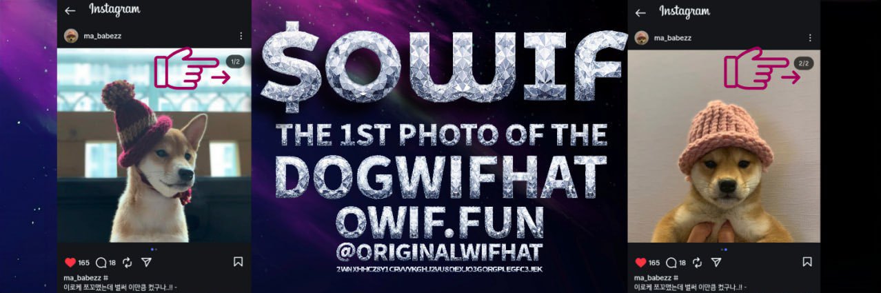 OriginalWifHat banner