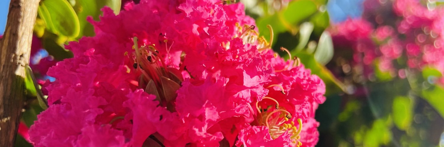 VeritoBrusa's profile banner image