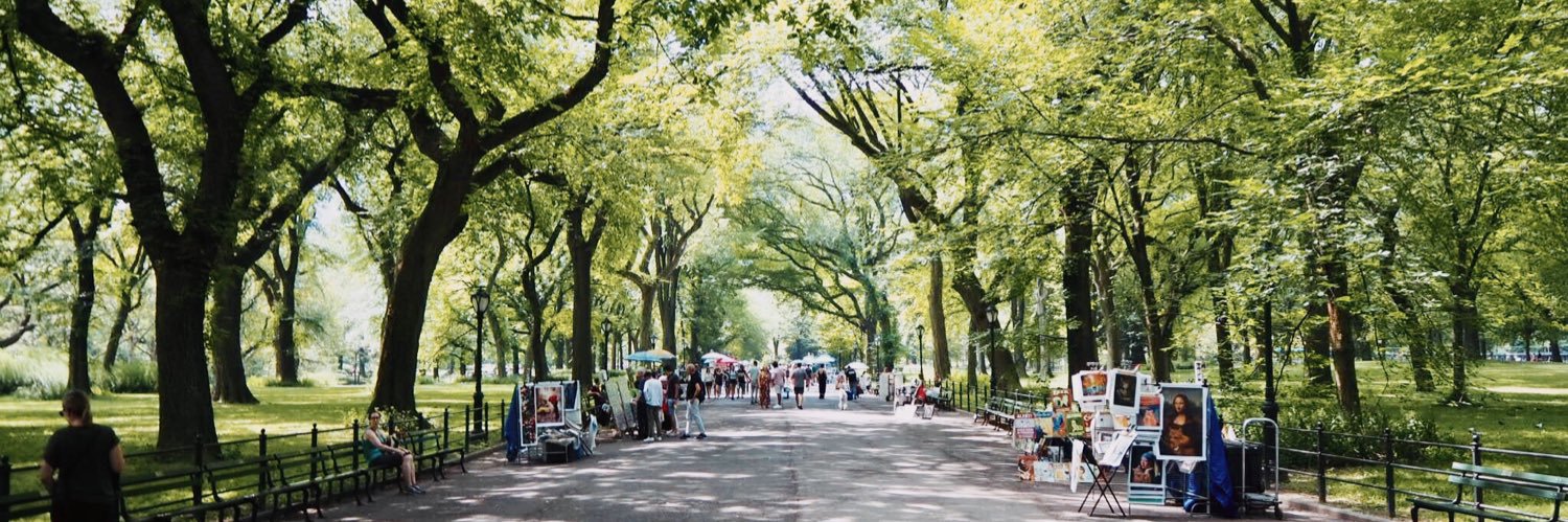 ⭐️ダオ⭐️ banner