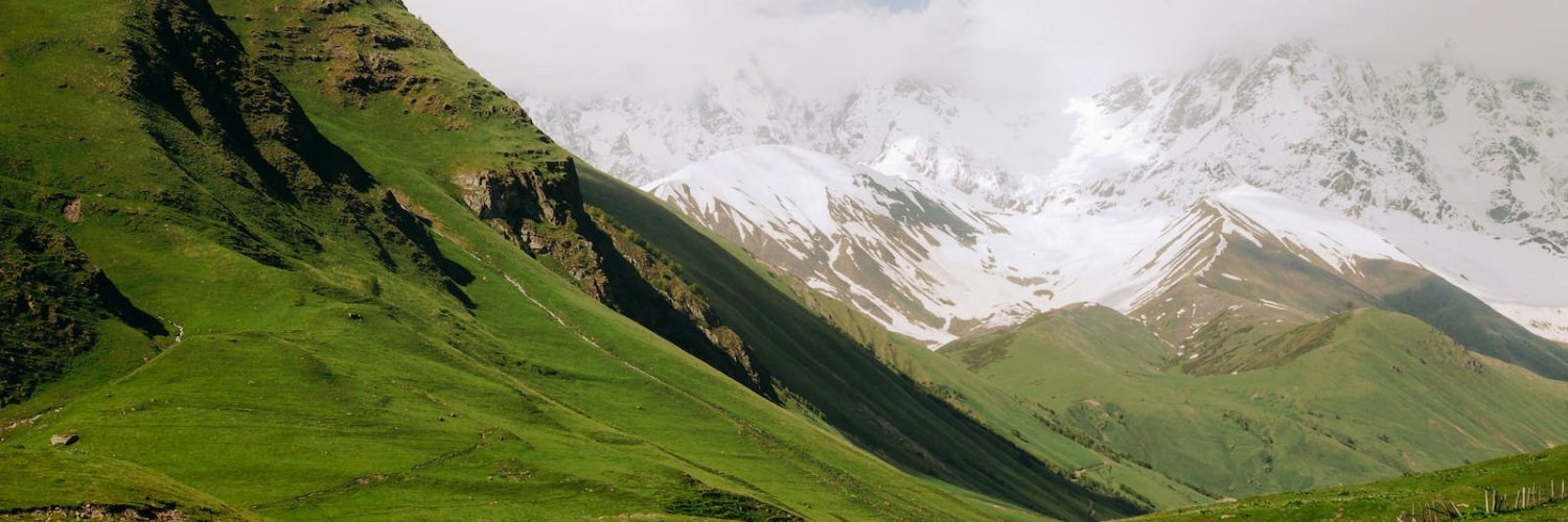 Alice Matsepane banner