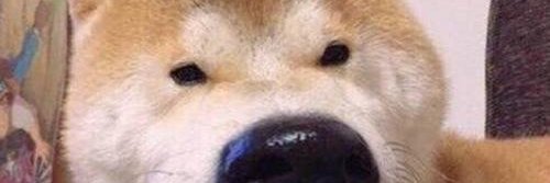 vwlcieec's profile banner image