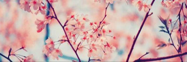 Laurenellesse04's profile banner image