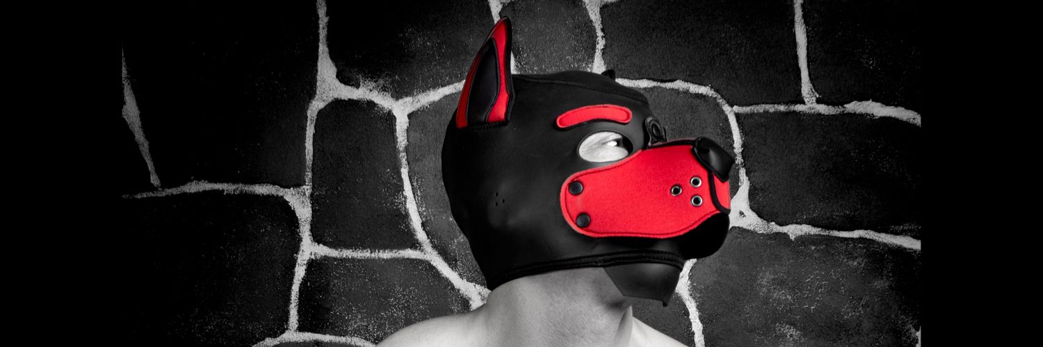 PupSploot's profile banner image