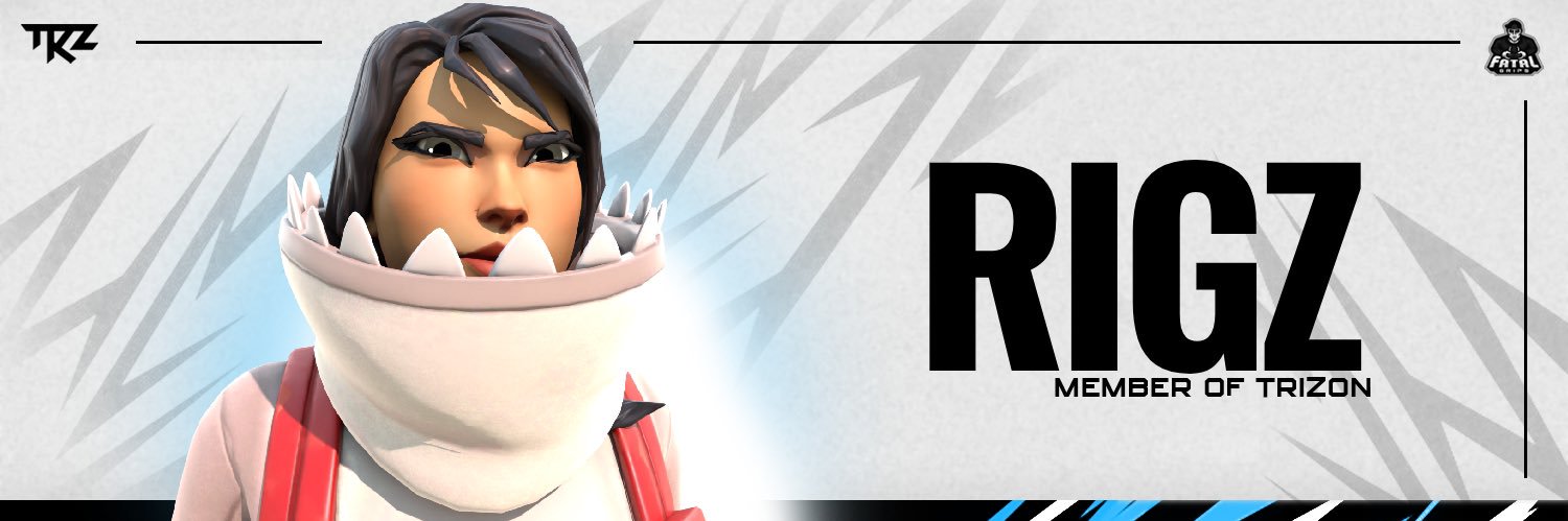 rigz banner
