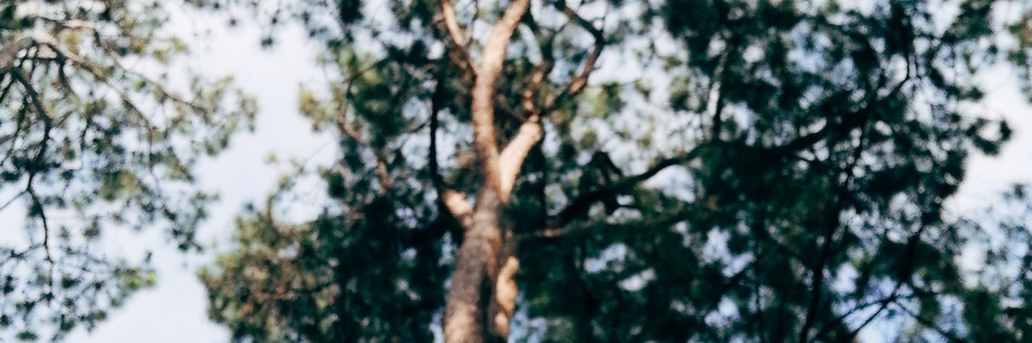engrmisty's profile banner image