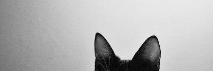 Aprrinceess's profile banner image