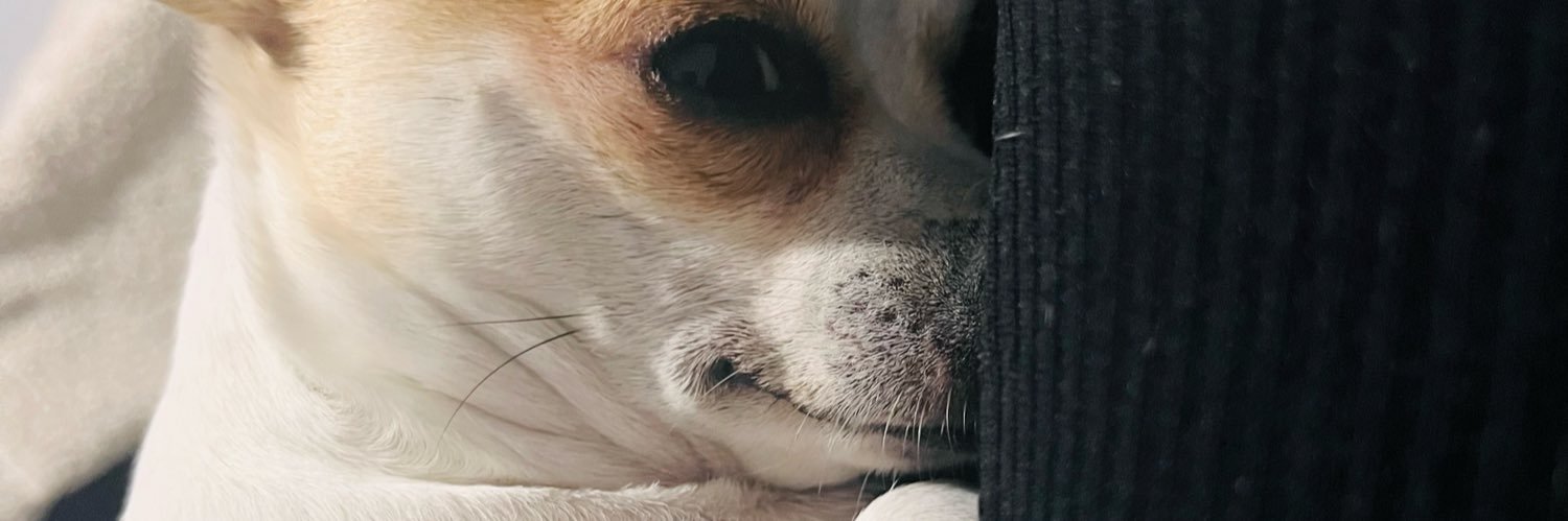 Aldddberg's profile banner image