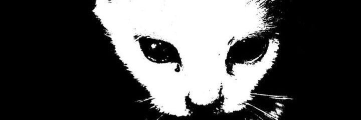 watchnick's profile banner image