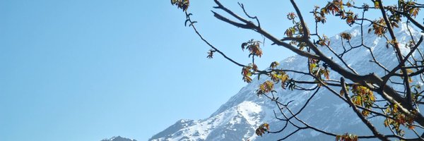 epicnephrin_e Profile Banner