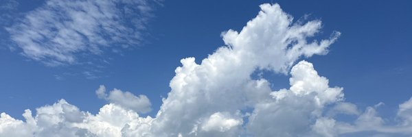 lizkingham_ Profile Banner