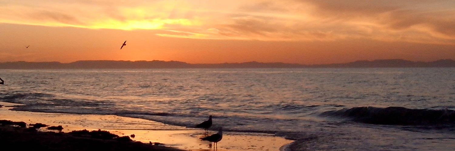 DavidOl's profile banner image