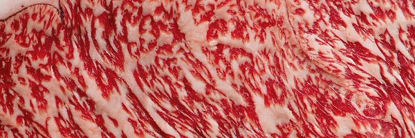 festeringchunk Profile Banner