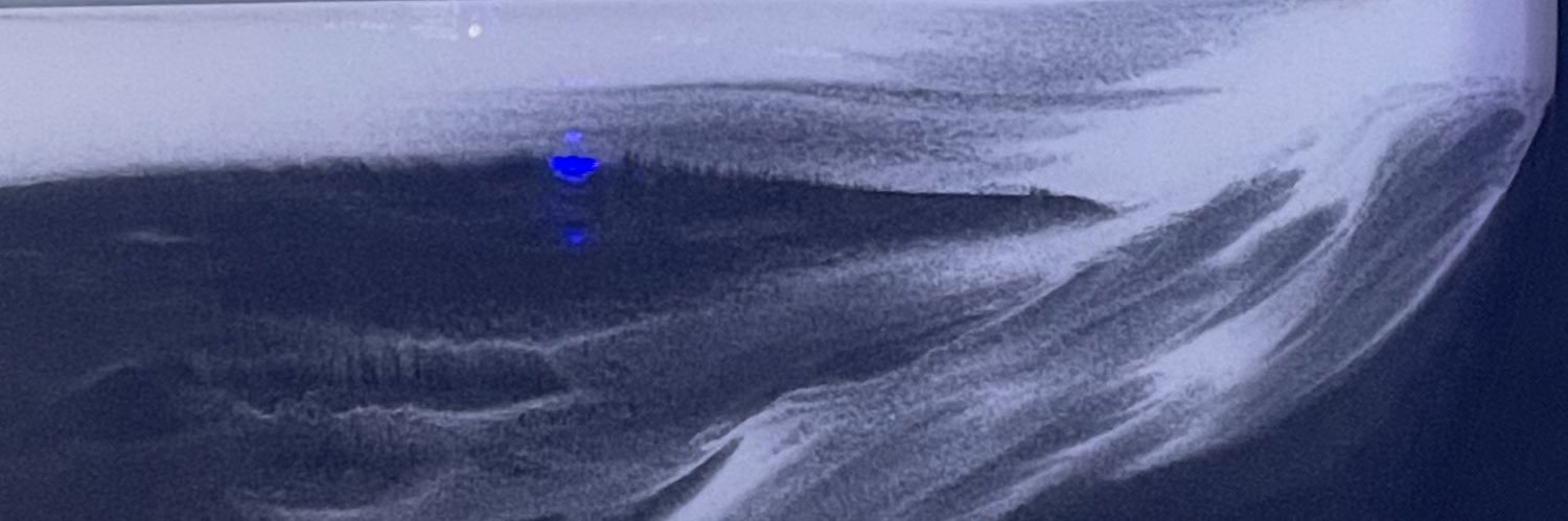 WayneZofHB's profile banner image