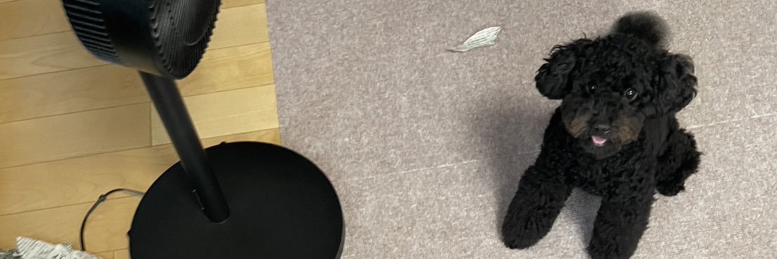 もんどすぇ banner