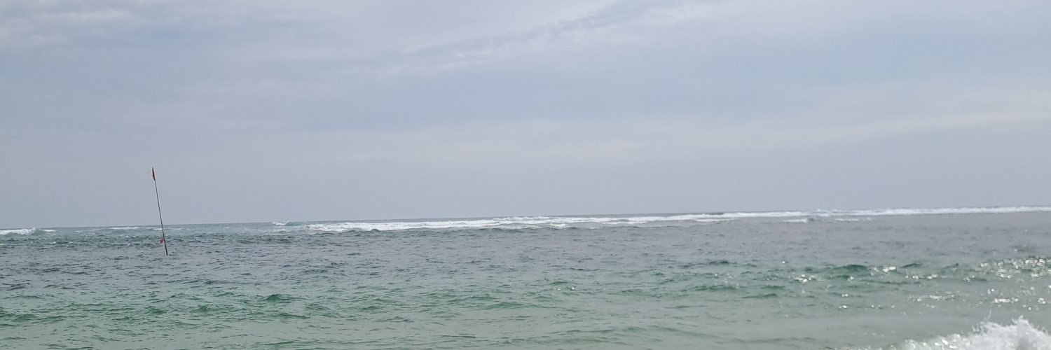 RAaAAaWWwwrr #1312 banner