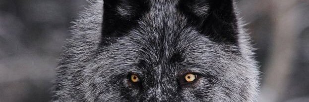 OttoRxcks's profile banner image