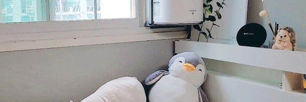 ppuingpp's profile banner image
