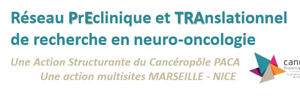 PETRA Network banner