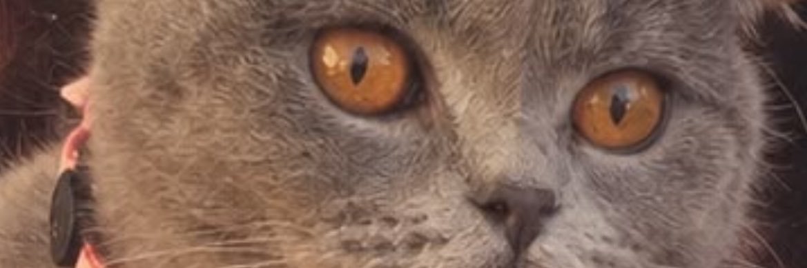 oemreguven's profile banner image