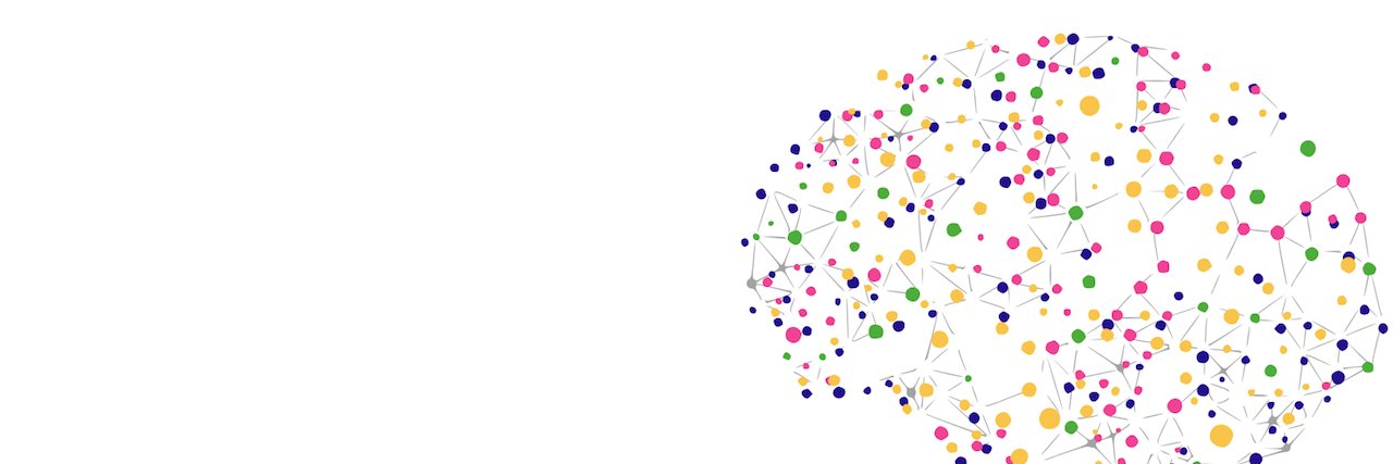 Rotman Healthcare banner