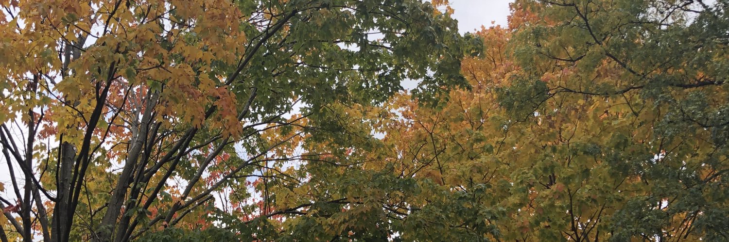 psychdoctweets's profile banner image