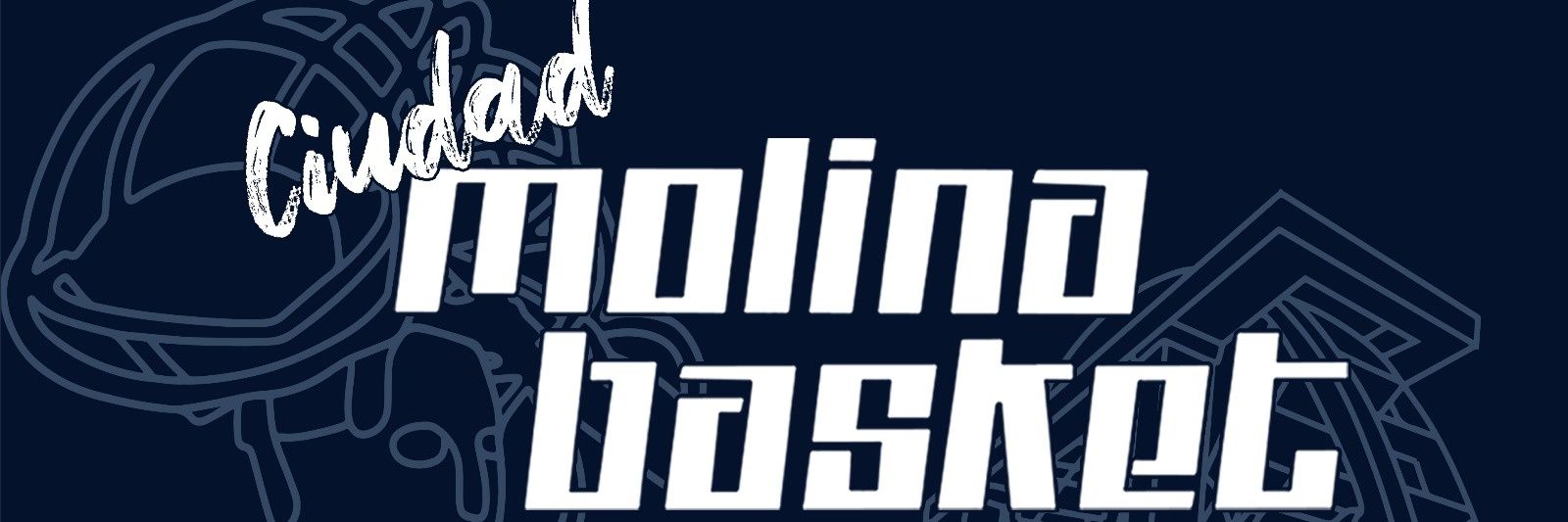 molinabasket's profile banner image