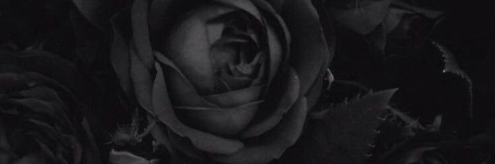 𝓡𝓮𝓷⸜❤︎⸝‍ banner