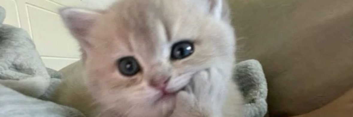 xRoruFN's profile banner image