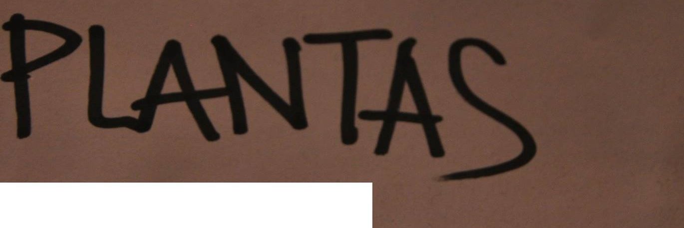 CanoYsimo2017's profile banner image