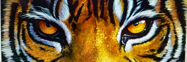 TIGERTOWN13 Profile Banner