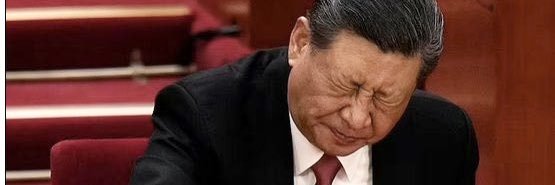 习皇 banner