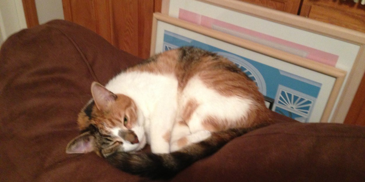 Vicki Helgeson banner