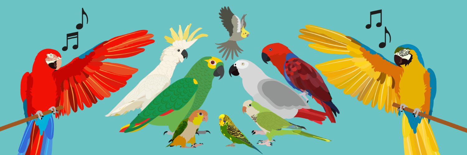 Birdsingalongp's profile banner image