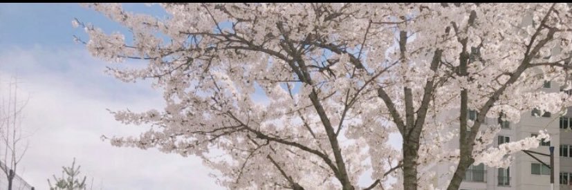 nwhtree's profile banner image