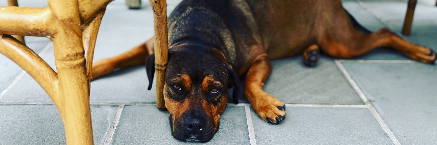 Wells Johnston banner